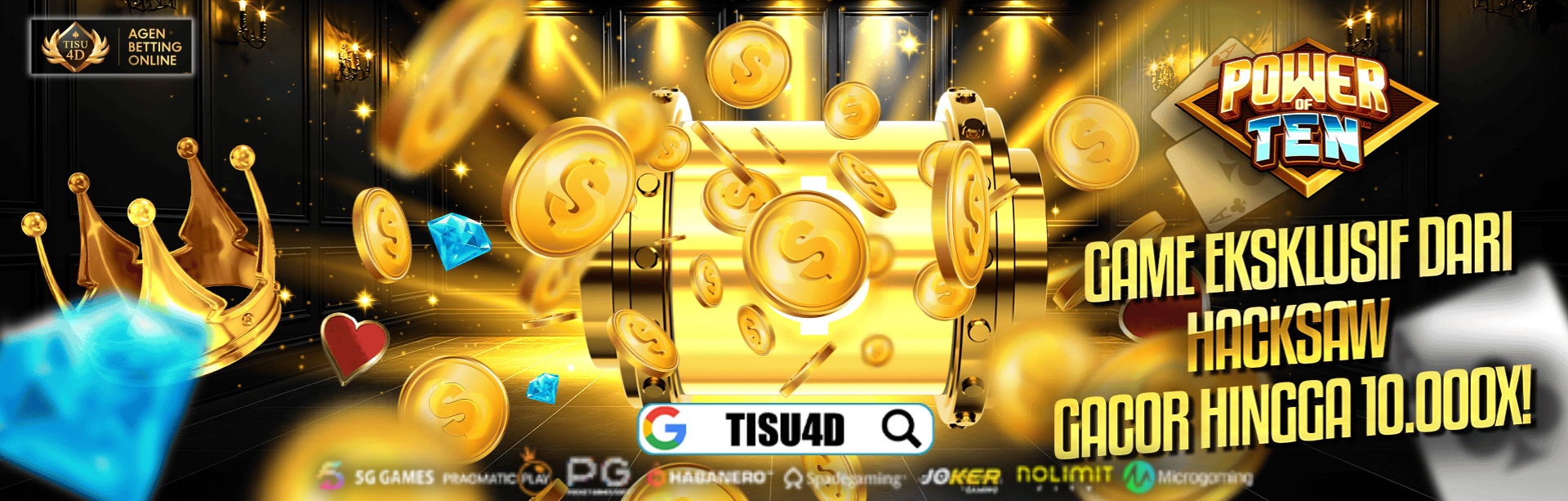 TISU4D